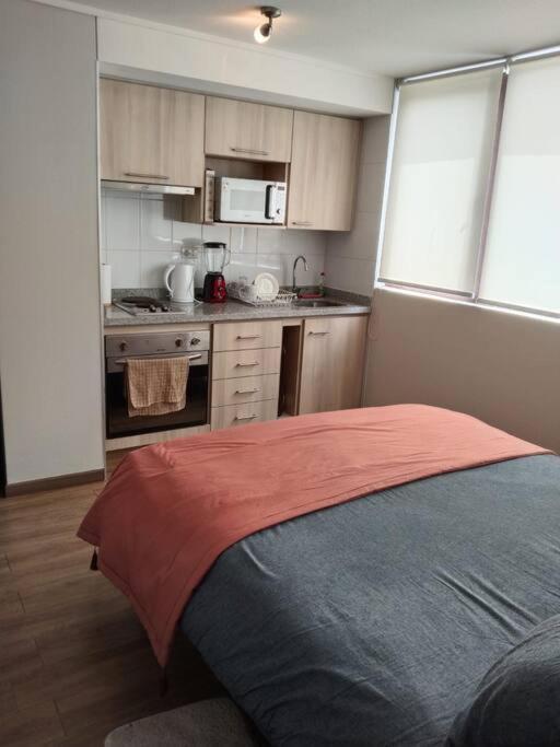 Апартаменти Departamento Nuevo Tipo Estudio En Pleno Centro -8 Консепсьйон Екстер'єр фото