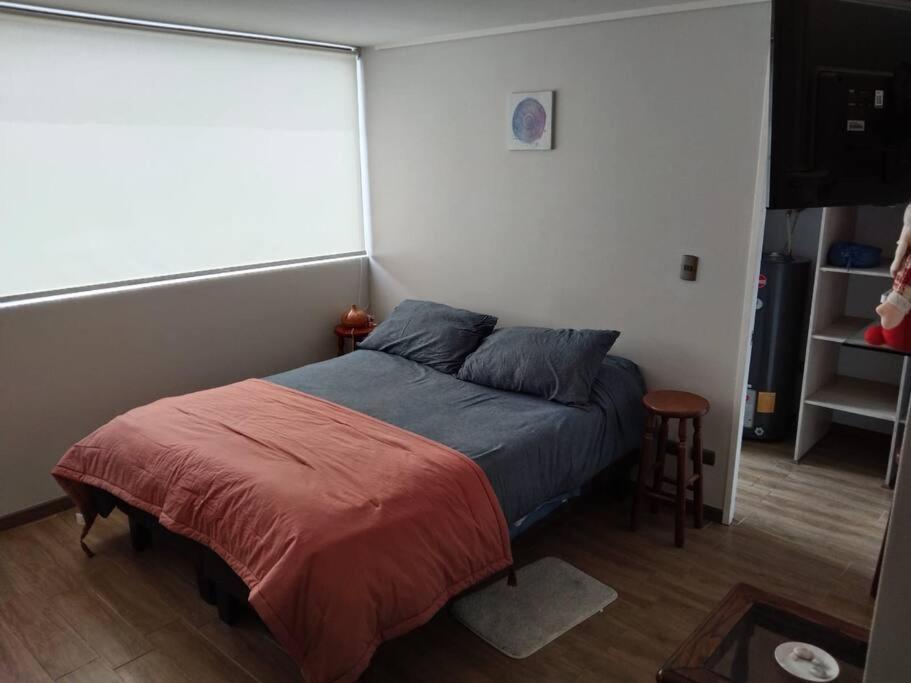Апартаменти Departamento Nuevo Tipo Estudio En Pleno Centro -8 Консепсьйон Екстер'єр фото
