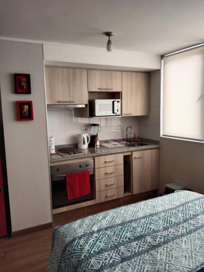 Апартаменти Departamento Nuevo Tipo Estudio En Pleno Centro -8 Консепсьйон Екстер'єр фото