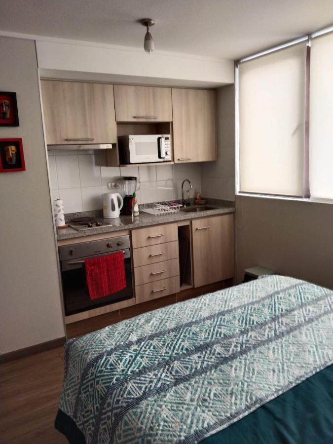 Апартаменти Departamento Nuevo Tipo Estudio En Pleno Centro -8 Консепсьйон Екстер'єр фото